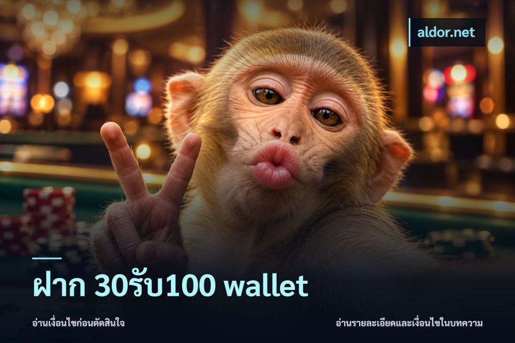 ฝาก 30รับ100 wallet